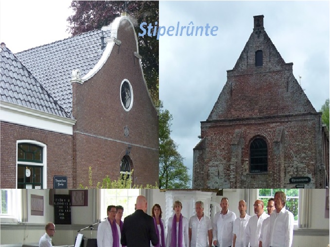 stipelrunte1